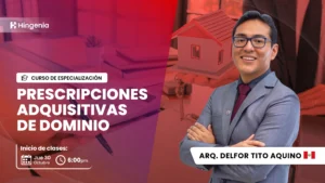 [301225] Prescripciones adquisitivas de dominio